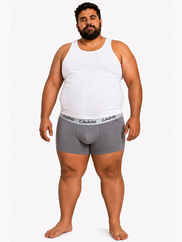 Plus Size Trunk - Gray