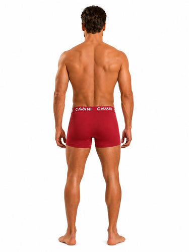 Trunk - Maroon