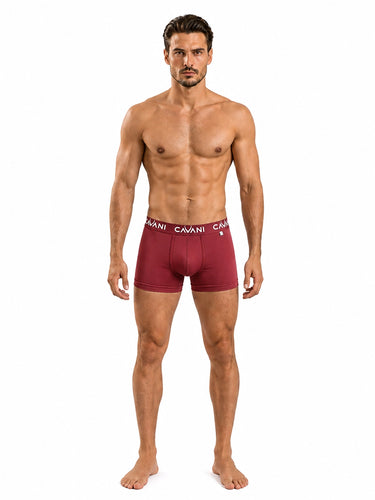 Trunk - Maroon