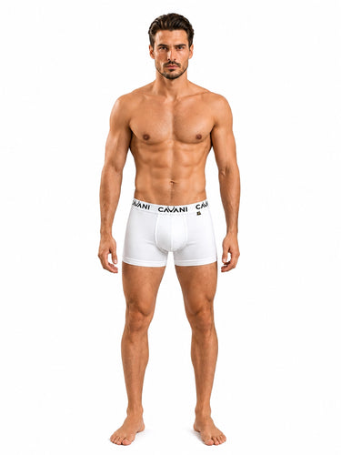 Trunk - White
