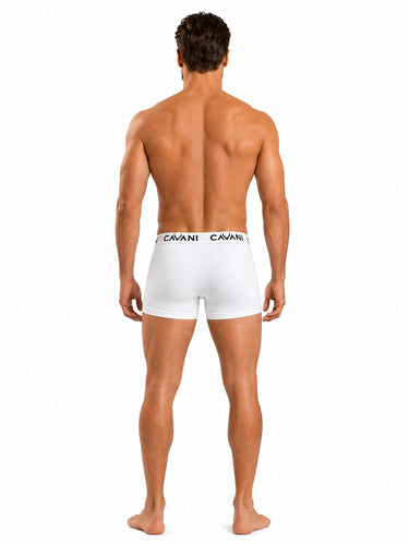 Trunk - White